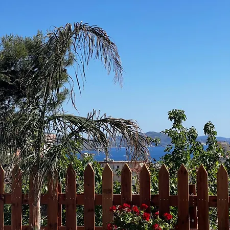 The Gwen Sarandë